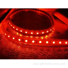 Wholesale SMD5050 RGB Decoration Light